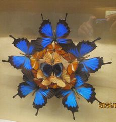 �W���i�i�����فj