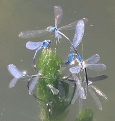 �Y������i�����j