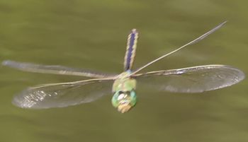 �M�������}���i�����j