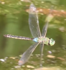 �M�������}������