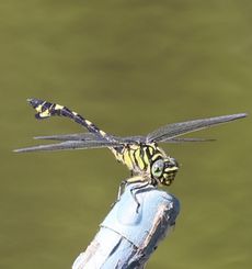 �E�`�������}�i�����j