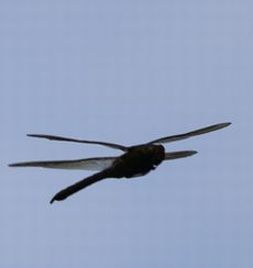 �M�������}���āi�����j