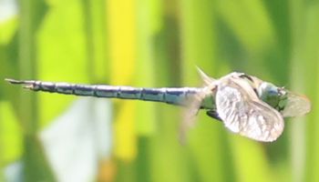 �A�I�����}���āi�����j