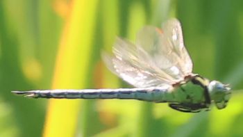 �A�I�����}���āi�����j