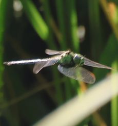 �A�I�����}���āi�����j