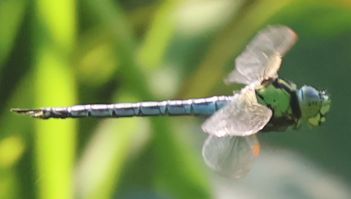 �A�I�����}���āi�����j