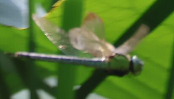 �A�I�����}�i�����j