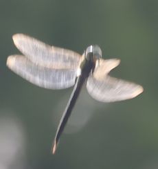 �A�I�����}���āi�����j
