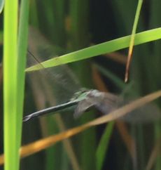 �A�I�����}���āi�����j