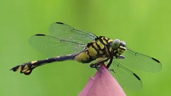 �E�`�������}�i�����j