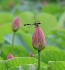 �E�`�������}�i�����j