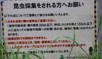 �g���{�̂�̃��[���i�����j