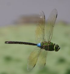 �M�������}���i�����j