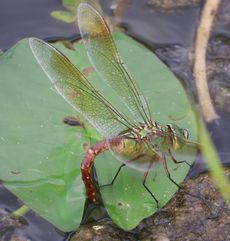 �M�������}�Y���i�����j