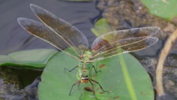 �M�������}�Y���i�����j