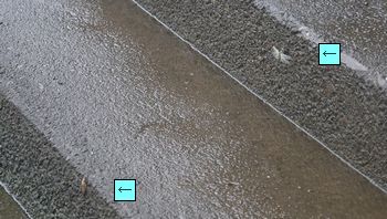 �H���k�i���j�Ɛ����i��j�i�]�ː�j