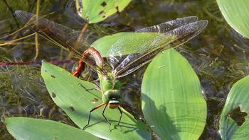 �M�������}�Y���i�����j