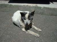 $B%O%$!y%A!<%:!*%o%s(J