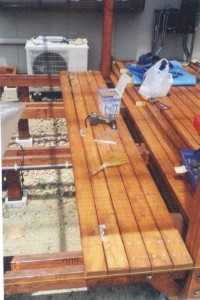 deck036.jpg