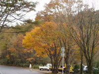 �C�`���E���ƂĂ��L���C�ł���