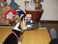 ������ł����E�E�E