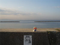 ����ς�C�͍L���H