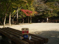 ������������܂����I