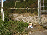 �W�S���E�댯�I