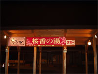 �������ł���