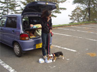 ���̐H���͊O������