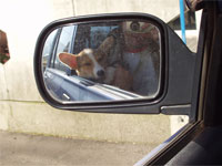 �Ђ܂��ƃT�C�h�~���[