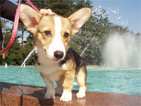 �����ƂЂ܂��