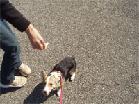 �l�������I