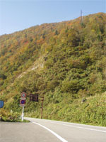 �܂������H