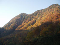 �g�t���L���C�ł���