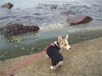 �����猳�C�ł�