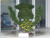 �z�^���C�J�H