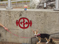 �W�S���E����ƈꏏ