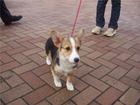 �Z���u��