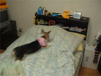 �v���Ԃ�̉䂪��