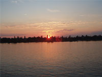 ���̏o�̃��C����