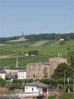 �����[�f�X�n�C���̌i�F