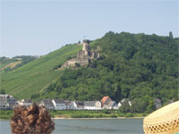 �t�����X�e���u���N���