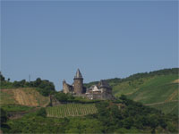 �V���^�[���G�b�N��