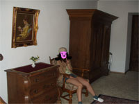 �z�e���̕���