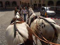 �n�Ԃ̏ォ��