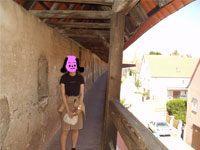 ��ǂ�����Ă��܂��B