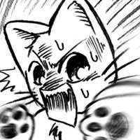 師走に叫ぶ!にゃんこ