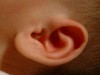 [DSCF0004.JPG]