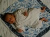 [DSCF0026.JPG]